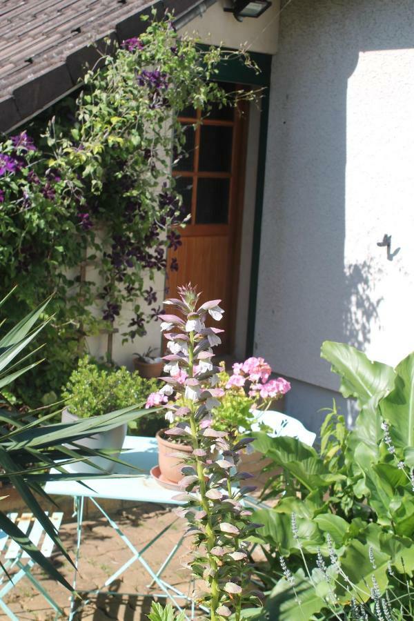 Chambre d'Hôtes Orchidees Nogent-le-Rotrou Exterior foto